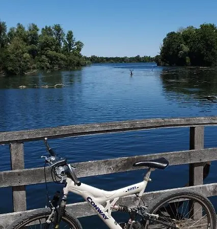 Grüner Elch Apartment