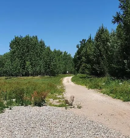 Apartment Grüner Elch *