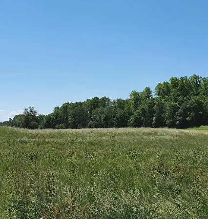 Apartment Grüner Elch *