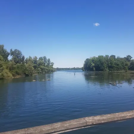 Grüner Elch Apartment Rheinhausen