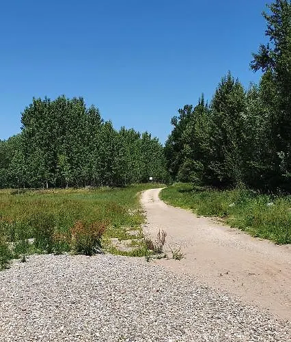 Апартаменты Gruener Elch *