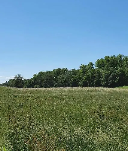 Апартаменты Gruener Elch *