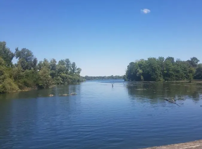 Gruener Elch Апартаменты Райнхаузен