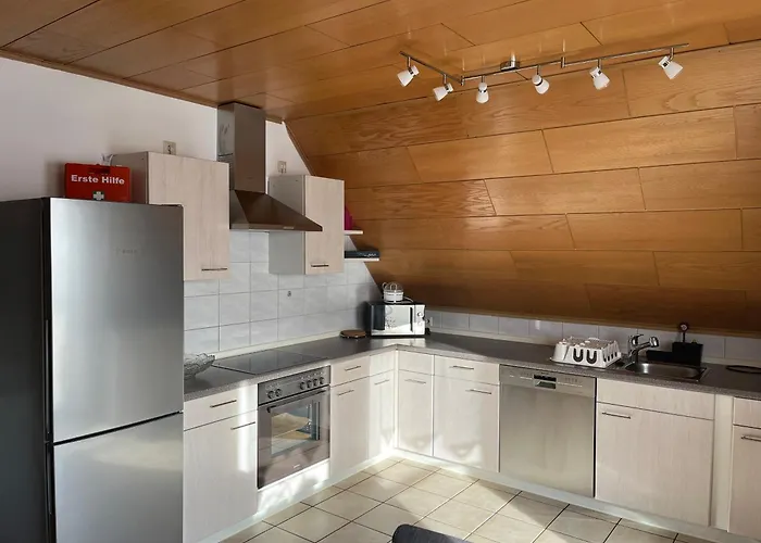 Gruener Elch Апартаменты Райнхаузен