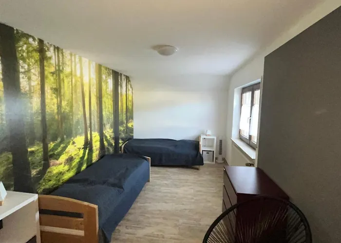 Gruener Elch Апартаменты Райнхаузен